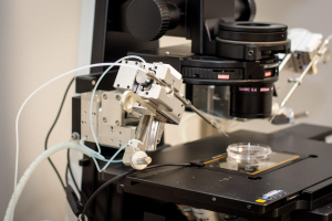 Cabinet Ginecologic Tasnad CENTRUL DE DIAGNOSTIC SI TRATAMENT AL INFERTILITATII Calla