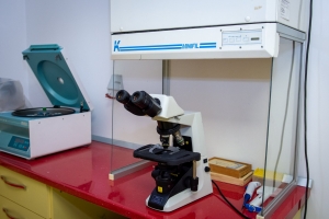 Cabinet Ginecologic Satu Mare CENTRUL DE DIAGNOSTIC SI TRATAMENT AL INFERTILITATII Calla
