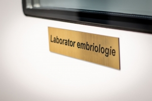 Cabinet Ginecologic Satu Mare CENTRUL DE DIAGNOSTIC SI TRATAMENT AL INFERTILITATII Calla